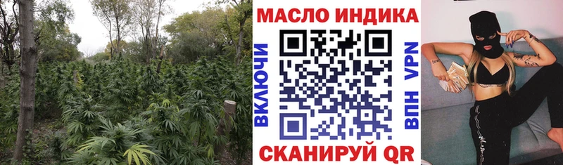 продажа наркотиков  Мичуринск  ТГК THC oil 