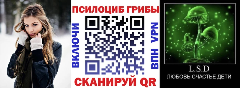 наркота  Мичуринск  Галлюциногенные грибы Psilocybine cubensis 